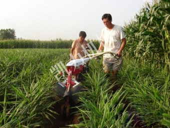 姜地用田園管理機