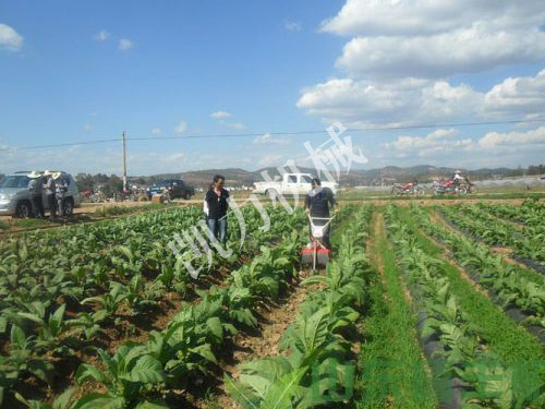 黃煙開溝培土機