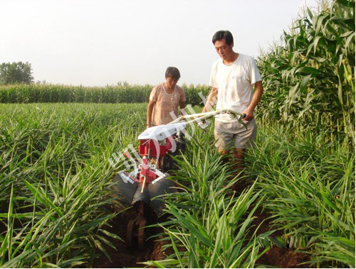 大姜開溝培土機