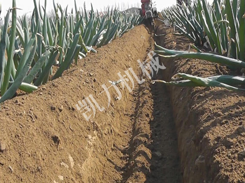 大蔥開溝培土機