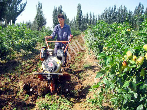 中耕機(jī)旋耕